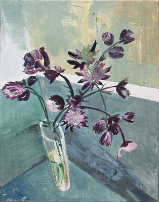 Волкова Светлана Вячеславовна. Астранции 